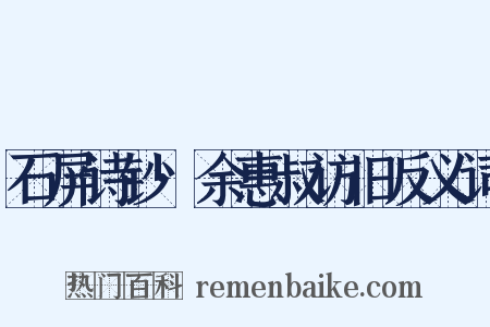 石屏诗钞·余惠叔访旧反义词是什么意思的图片